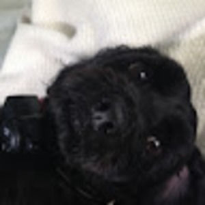 Meet your Posher, Zoe